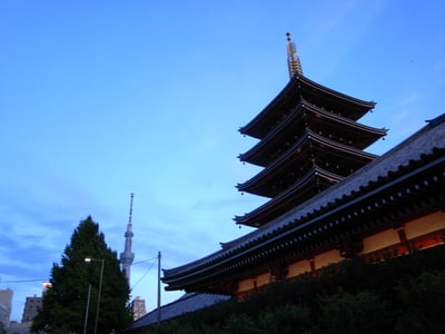 古都京都で巡る四季折々の自然と伝統の融合、新たな文化の醸成を担う、陶芸家に学ぶ