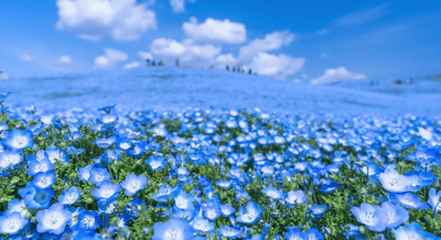 リスト削除体験